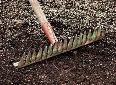Cum de a planta iarba de gazon