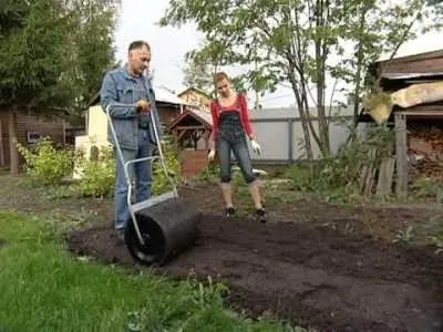 Cum de a planta iarba de gazon
