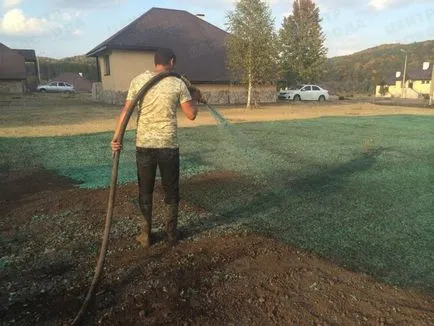 Cum de a planta iarba de gazon