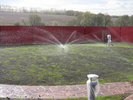 Cum de a planta iarba de gazon