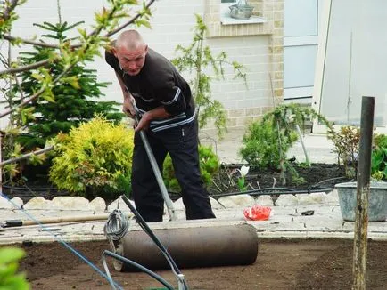 Cum de a planta iarba de gazon