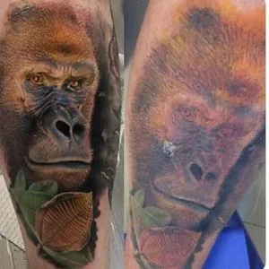 rana de ingrijire adecvata si tatuaje - un tatuaj studio privat