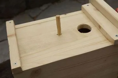Birdhouse corectă cu mâinile 1