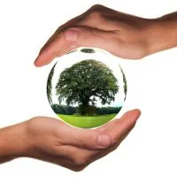 Caracteristici Funcția ecologiste și caracteristici principale