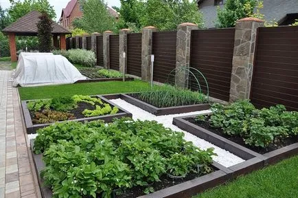 Exemple de proiectare zonă suburbană 10 ar