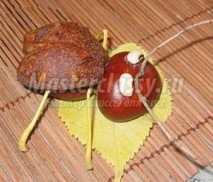 meșteșugurile naturale cu mâinile lor cele mai populare ideile foto și - cursuri de master pentru tine (amintiri) meșteșugurile naturale cu mâinile lor cele mai populare ideile foto și - cursuri de master pentru tine
