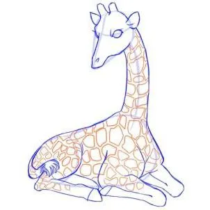 Spoturi și coarne, sau cum să atragă o girafă