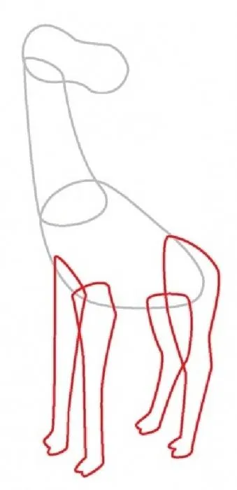 Spoturi și coarne, sau cum să atragă o girafă