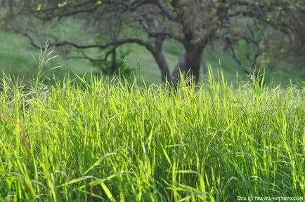 Cinci moduri simple de a îmbunătăți fotografiile (moduri) Cinci moduri simple de a îmbunătăți fotografiile