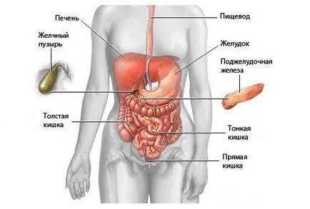 Efectuarea imagistica prin rezonanta magnetica a cavității abdominale