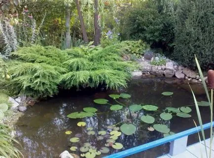 Un iaz în țară cu propriile mâini - 3 versiuni diferite (lor) Un iaz în țară cu propriile mâini - 3 versiuni diferite