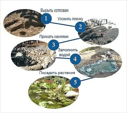 Un iaz în țară cu propriile mâini - 3 versiuni diferite (iaz) Un iaz în țară cu propriile mâini - 3 versiuni diferite