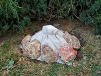 răsaduri de roșii de la site-ul țară de origine (tomate) Răsaduri de la roșii de acasă, cabana de vară