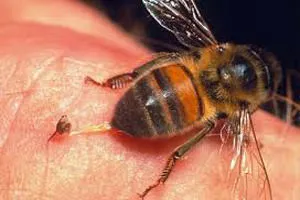 Simptomele sclerozei multiple si Tratamentul de remedii populare, de sănătate și frumusețe secrete ale femeilor (împrăștiate) Simptome Scleroza și tratament de remedii populare, de sănătate și secretele de frumusete ale femeilor