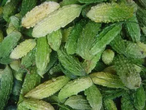 O varietate de castraveți West Indian castraveciori de peste mări, Momordica, chayote, trichosanthes, tsiklantera, Takako și O varietate de castraveți West Indian castraveciori de peste mări, Momordica, chayote, trichosanthes, tsiklantera, Takako și