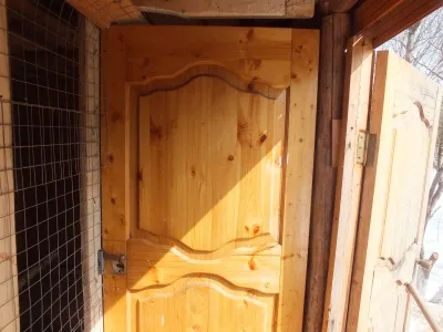 găini de reproducție