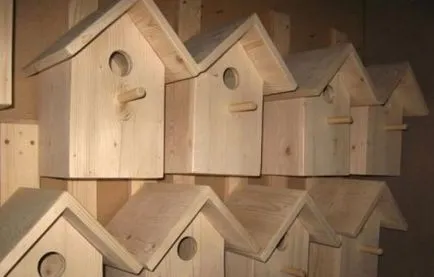 Dimensiuni Birdhouse pentru păsări cum să facă proiectarea de lemn, Locator de sănătate (de a face) Dimensiuni Birdhouse pentru păsări cum să facă proiectarea de lemn, Locator de sănătate