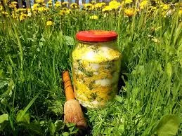 Tratamentul Retete de orice tratează păpădie păpădie boli gama ... mettiss