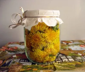 Tratamentul Retete de orice tratează păpădie păpădie boli gama ... mettiss