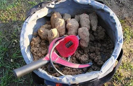 Pescuitul pentru iaz crap pe ceea ce este și cum să se pregătească