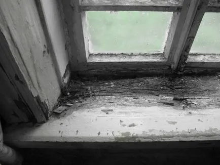 Reparați casa din sat, cu propriile sale mâini (reparații) Reparați casa din sat, cu propriile sale mâini