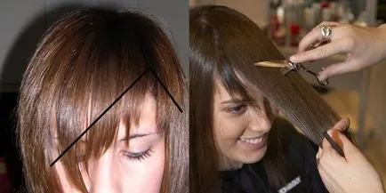 breton Jagged în lateral și ca o reducere directă, fotografii