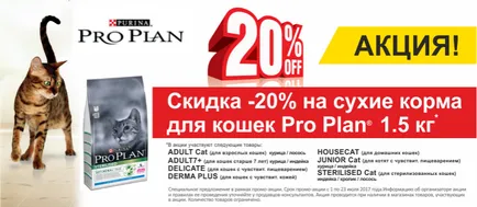 Salon de infrumusetare pentru animale on-line magazin de animale zoograd