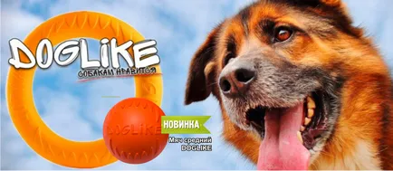 Salon de infrumusetare pentru animale on-line magazin de animale zoograd