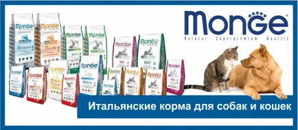 Salon de infrumusetare pentru animale on-line magazin de animale zoograd
