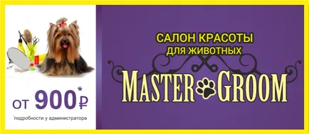 Salon de infrumusetare pentru animale on-line magazin de animale zoograd