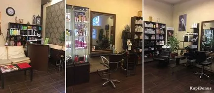 salon de cosmetica pentru pisici salon de cosmetica pentru pisici