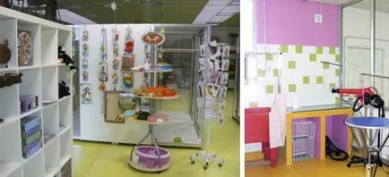 salon de cosmetica pentru pisici salon de cosmetica pentru pisici
