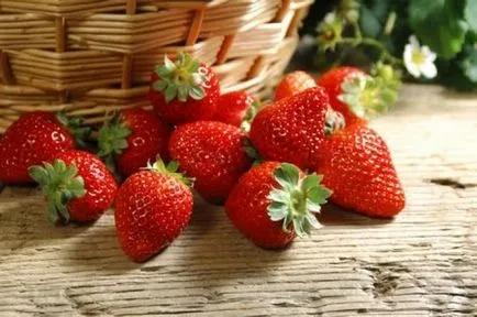 În cazul în care pentru a începe căpșuni plante - plante - fructe si legume (care) În cazul în care pentru a începe la căpșuni de plante - plante - fructe si legume