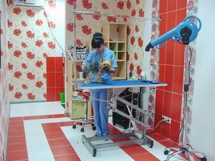Salon de frumusețe pentru animale (Beauty) Salon pentru animale de frumusețe