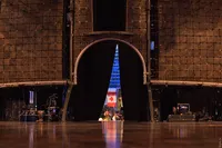 Secretele du săruri de circ