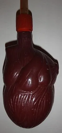 inima umană