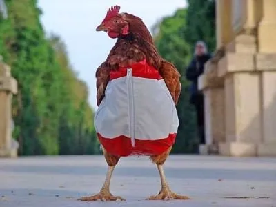 Acum voi lua și cum pompat până la vară!