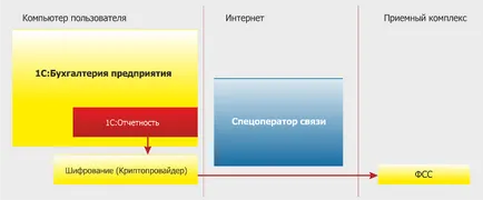 prezentarea de rapoarte către fondul de asigurări sociale prin intermediul internetului (situațiile financiare 1c) Prezentarea rapoartelor către Fondul de asigurări sociale prin intermediul internetului