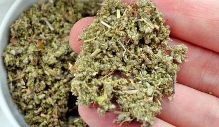 Sage - proprietăți medicinale și contraindicații (medicale) Sage - proprietăți medicinale și contraindicații