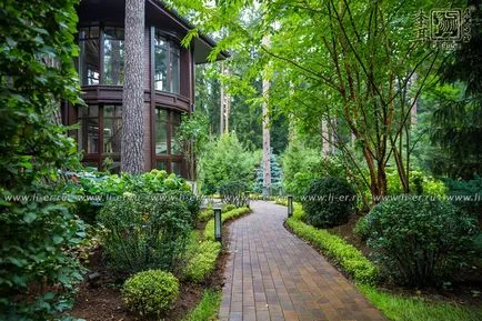 Secretele de formare corespunzătoare a zonelor de peisaj de proiectare