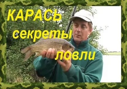 prinderea secrete caras alegerea de momeală și de a aborda, precum și instalarea acestora (crap) prinderea secrete caras alegerea de momeală și de a aborda, precum și instalarea acestora