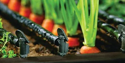 Sisteme de irigare pentru vile Horticole automate, din tuburi de plastic, dispozitive și