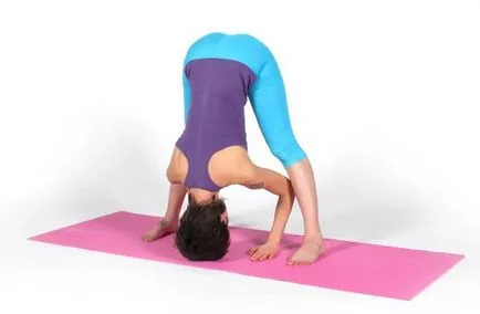 Sfoară pentru începători exerciții pentru stretching (foto)