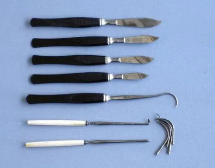 scalpelurile chirurgicale tipuri, caracteristici, cu scop (bisturie) specii scalpelurile chirurgicali, în special numirea