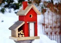 Birdhouse cu mâinile cum să facă fotografii, desene și dimensiuni
