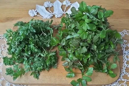 Goutweed - proprietăți utile și contraindicații, iarbă goutweed (iarbă) Goutweed - proprietăți utile și contraindicații, goutweed iarbă