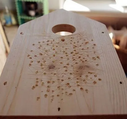 Birdhouse cu mâinile lor desene, materiale, instalații și decorațiuni