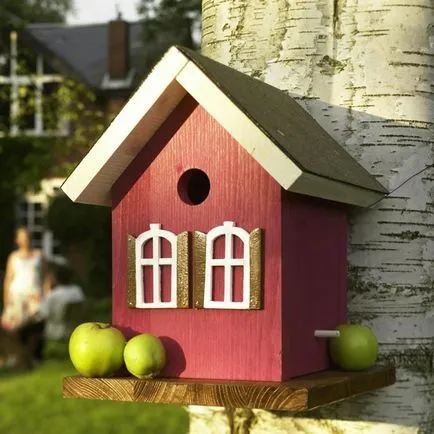 Birdhouse cu mâinile cum să facă fotografii, desene și dimensiuni