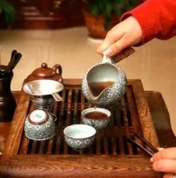 Cum de a alege Puer Cum de a alege Puer