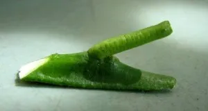 Cum de a planta o lamaie